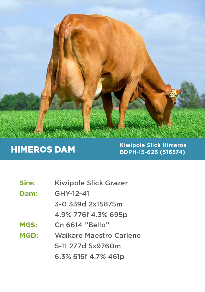 HTG Dairy Cattle Direct
