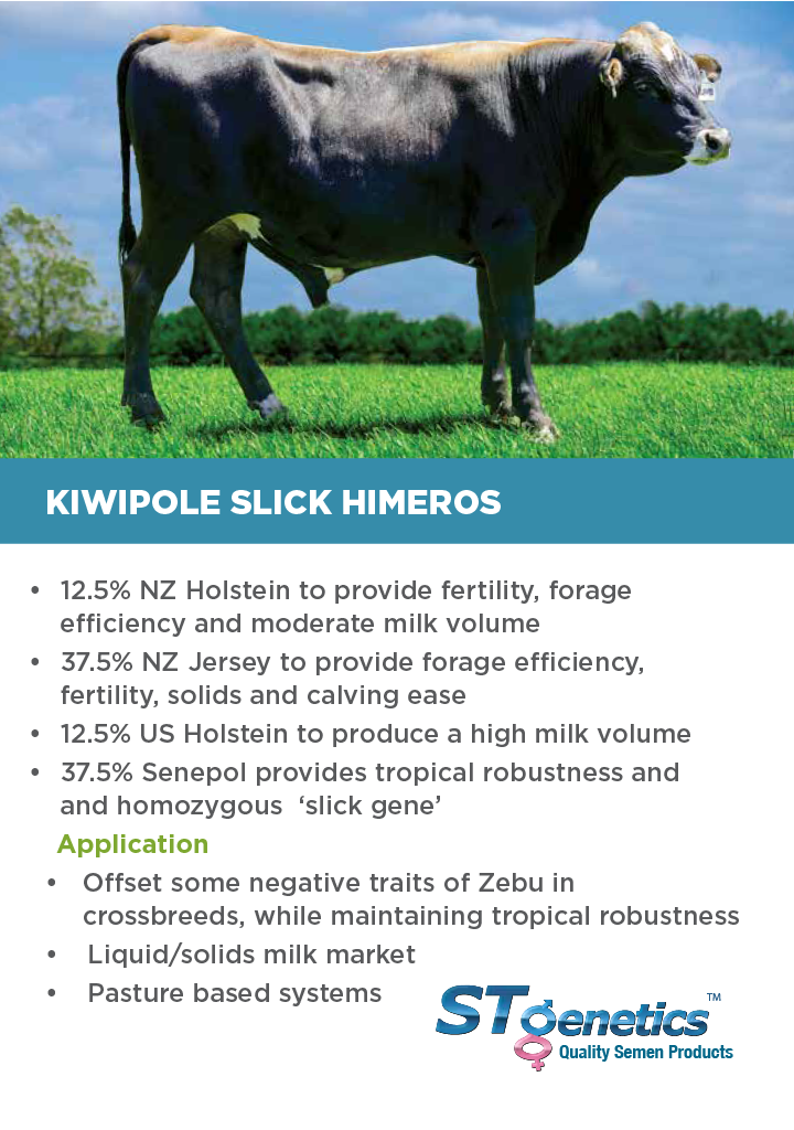 HTG Dairy Cattle Direct