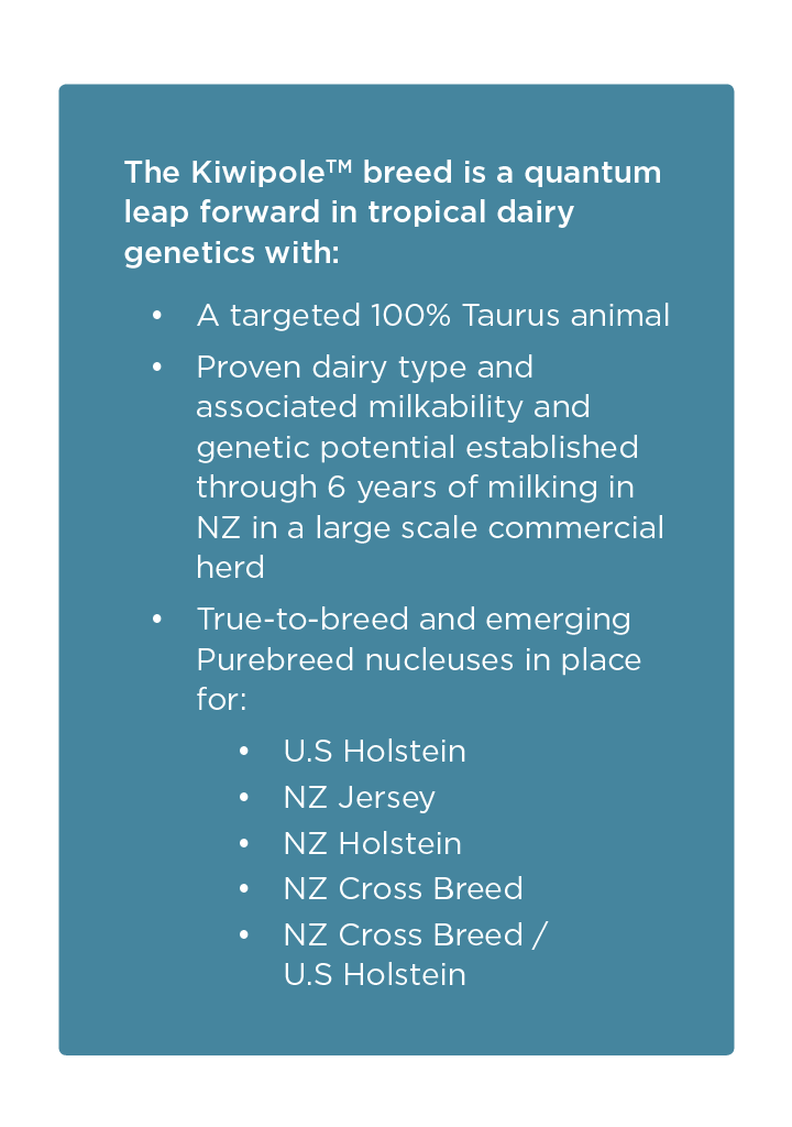 HTG Dairy Cattle Direct