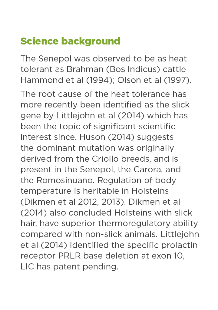 HTG Dairy Cattle Direct