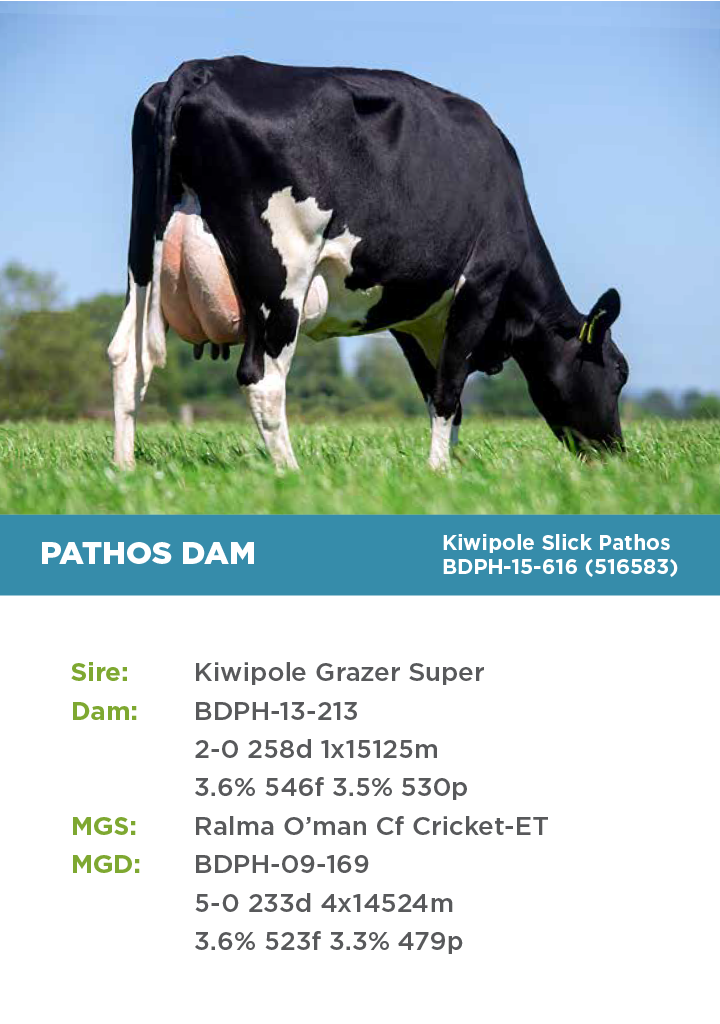 HTG Dairy Cattle Direct