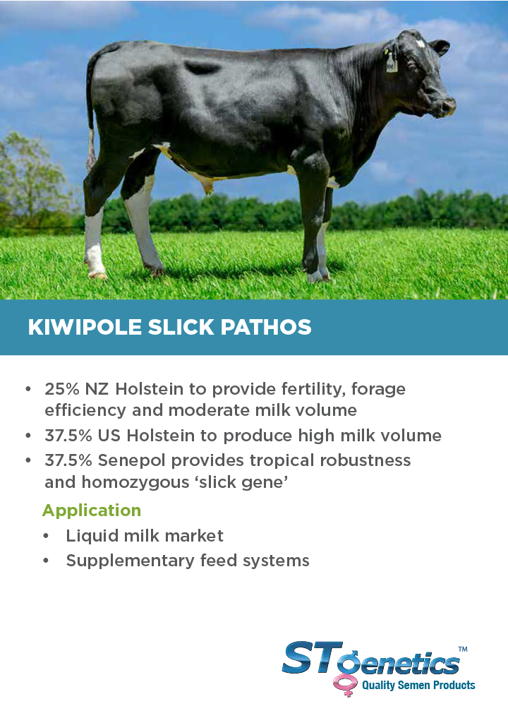 HTG Dairy Cattle Direct