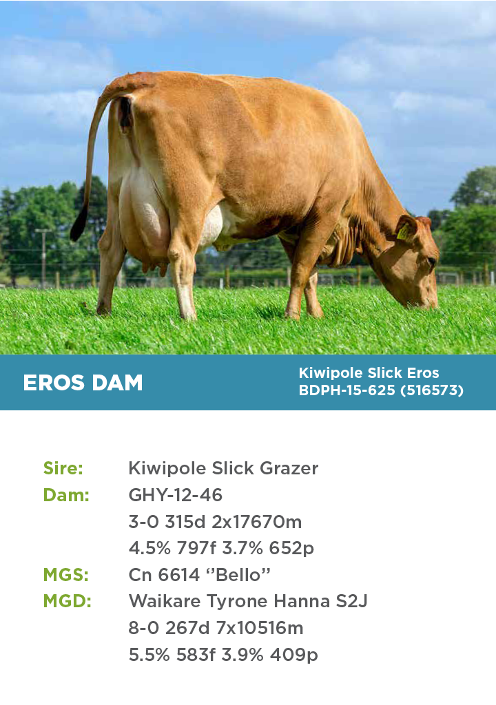 HTG Dairy Cattle Direct