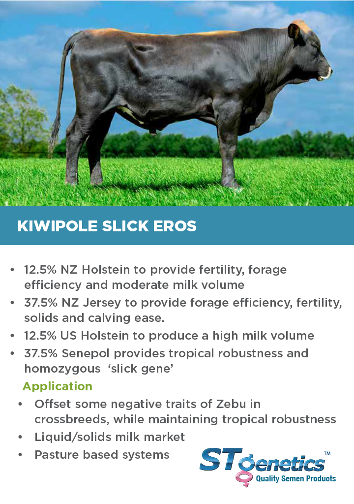 HTG Dairy Cattle Direct